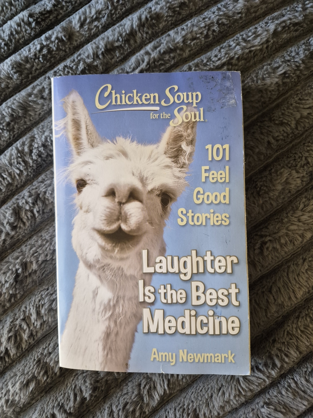 Chicken Soup for the Soul: Laughter Is the Best Medicine - Light Blue Cover